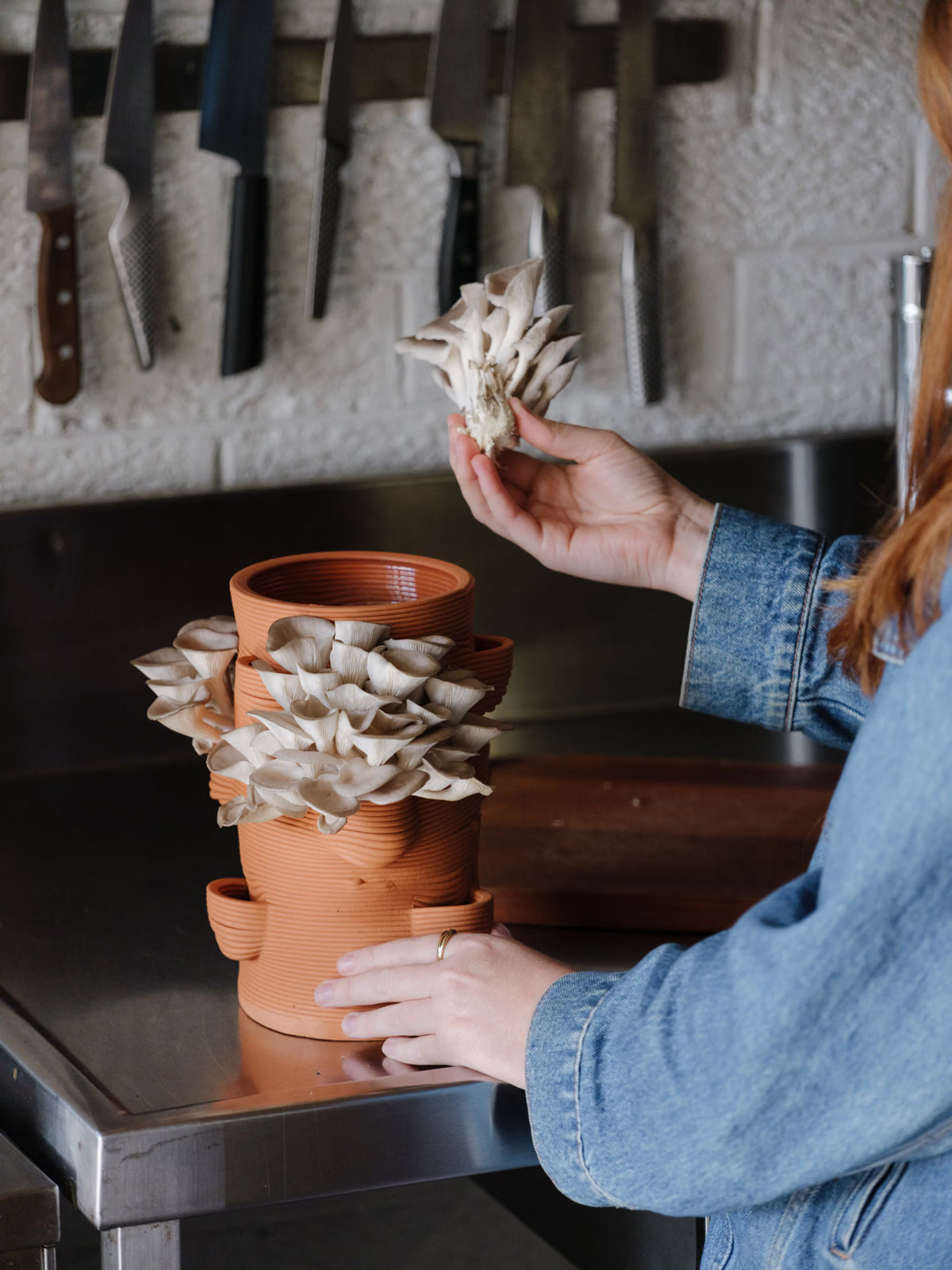 Mycelia House