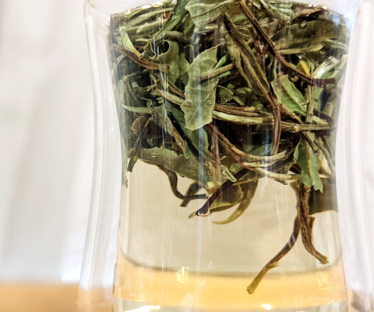 White Peony Tea