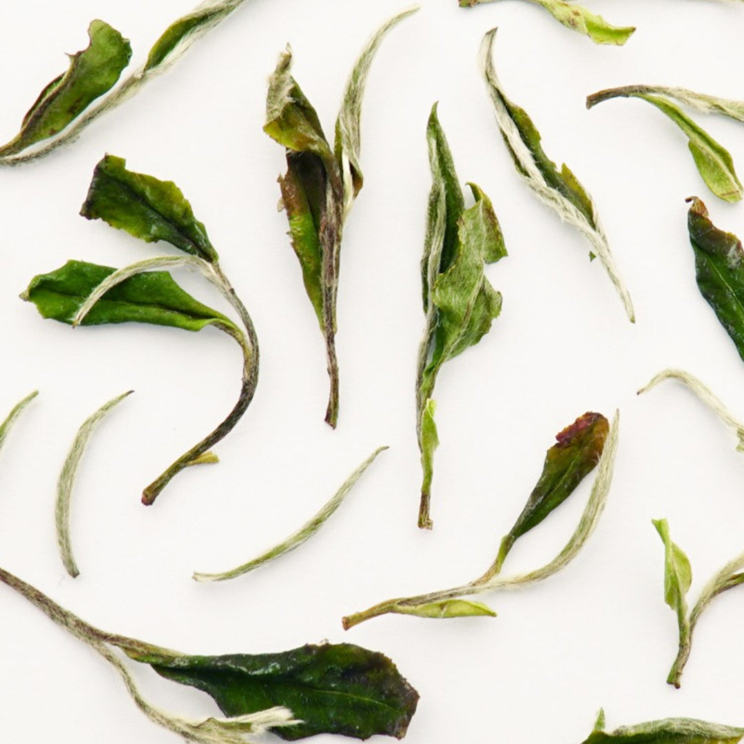 White Peony Tea